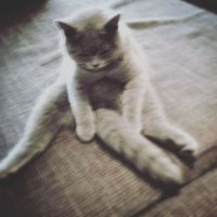 Тайна злого начальника