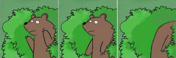 Что делать при встрече с медведем