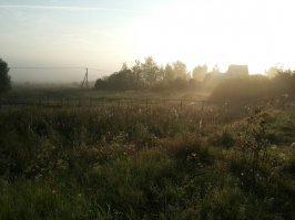Прекрасно изображен туман на рассвете, частенько вижу такой на даче, и запах свежего утра...когда еще никто не начал ездить по дорогам и воздух как будто чистый чистый