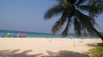 Да вот пару недель назад никуя не делал!