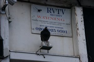 А я такое видел в дальних краях :)