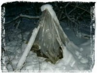 Для любителей природы