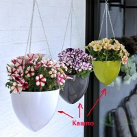 "...Мама мне дала куртку, кашпо..."