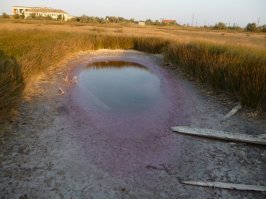 в России есть : 
кровавое болото
фиолетовая лужа
и еще что то розово-серо-черное