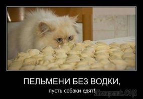 Как сварить пельмени и не умереть от ожогов