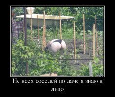 10 девайсов, которые понадобятся дачникам этой весной