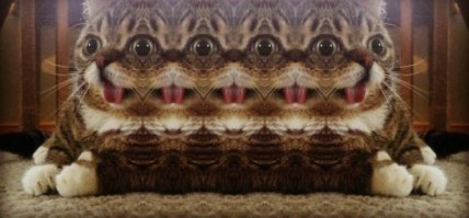 Фотоподборка за 13.03.2018