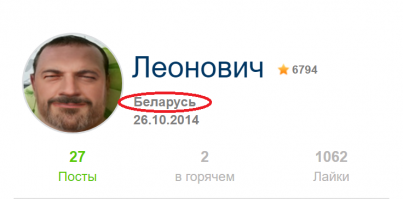 В Псковской области семью лебедей, не долетевшую до теплых краёв, приютила во дворе хозяйка кафе