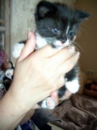 у нас тоже красавец