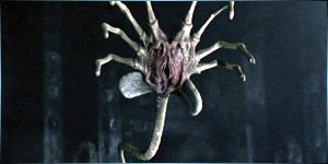 30 жутких фото с просторов интернета, которые трудно развидеть