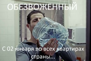 Неравнодушный прохожий напоил юного броненосца водой из бутылки