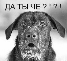 Очень удивился Василич