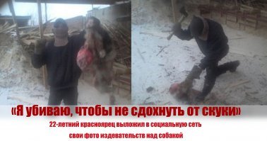 Ненависть к собакам, украинцам, вегетарианцам и женщинам изрыгается исключительно от путинских троллей. Их шизоидальная паранойя и не здоровая навязчивость запугать всё население страны уже всем надоела, как и все эти нелепые посты про укрофашистов и яжматерей.

При фашизме и исламе, как и сегодня, использовалась подобная тактика: обвини другого в том, в чём виноват сам. В стране взращивается поколение жестоких дебилов и усиленно проводится исламизация. Хотите жить в такой стране ?

Сегодня этнопреступность сотнями в день убивает граждан России, и все молчат. Зато откровенный фейк путинская братия дебилов старательно разносит по интернет-пространству и недалёкое население в него верит.