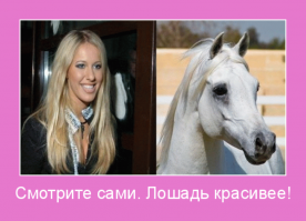 Двойники и забавные сходства