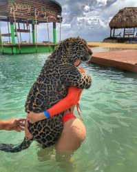 Картинки с надписями для настроения