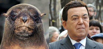 Двойники и забавные сходства