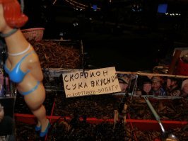 Улитка отправила 19-летнего спортсмена в кому