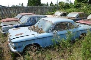 Ролик  отличный.

Смотрим и учимся, это вам не "  приезжайте  в Сочи, тут есть красная поляна и море "

А  если  с негативной стороны :

Оригон  он  такой !

Амеры  всегда славились  талантом  продать  говно  завернув  в  красивую обёртку и прорекламив.