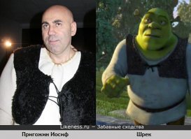 Двойники и забавные сходства