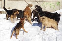 Ну-ка покажи, кто тут из шестерых, которые на одного, выкинутые???
