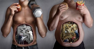 Спорт тоже важен. Хлипкие умники с гипоксией головного мозга, ишемией миокарда и ожирением нам не нужны!