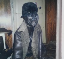 Мой первый пёс.