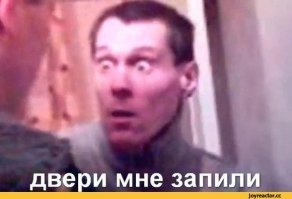 Дружелюбный и общительный морж наведался к вахтовикам на Ямале