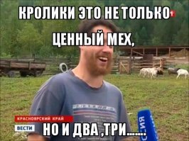  Заведите кролика, говорили они. Будет весело, говорили они  