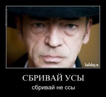 Сеня, по-быстрому объясни товарищу, почему Володька сбрил усы