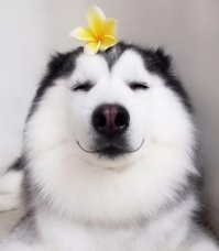 Релакс