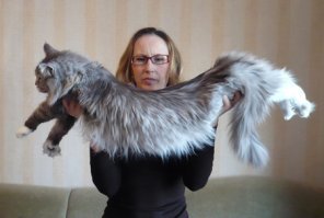 Неокторые в растяжке и не особенно то нуждаются...