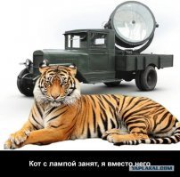 Тайна злого начальника