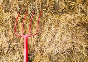 Пропаганда в мультфильмах. Северная Корея