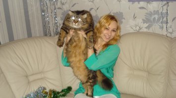 Растяни кота и прославься: набирает обороты новый японский флешмоб