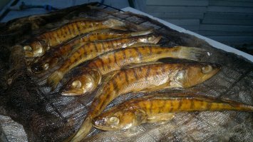 Такой судак получился...