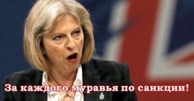 Как избавиться от муравьев?