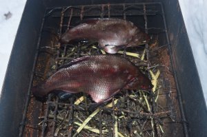 Какая-то слишком долгая подготовка .
Потрошеную рыбу 1-2кг обсыпаю соль, в емкость, на ночь в холодное место. За 8-12 часов просаливается в самый раз.Соль на копчение тоже без разницы, мелкой просаливается быстрее. Промываем, коптим.
"В рекомендациях вообще говорилось, что надо вымачивать часа два."
Вымачивают обычно рыбу, которую долго солят-на сутки засолки-час вымачивания.
Хотя лучшая рыба это шашлык, но пару лещей тоже недавно закоптили