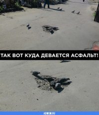 Я знаю истинных виновников!