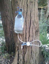 Эксклюзивный дизайн