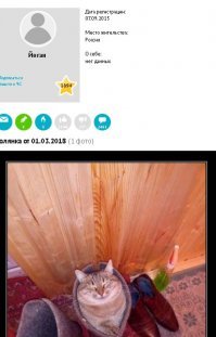 я должен прислушиваться к чмошнику, который котиков постит!? И кто ту мудак!?