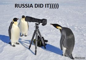 Птицы в Антарктиде крадут оборудование латвийских исследователей