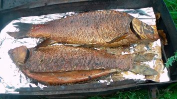 у нас в основном сазан