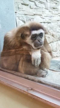 Фотоподборка за 16.03.2018