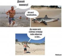 Дайверы в клетке едва не стали завтраком для гигантской белой акулы