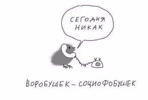 Смешные комментарии из социальных сетей