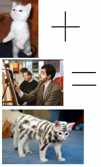 Снимки из категории  "Теперь ты видел все"