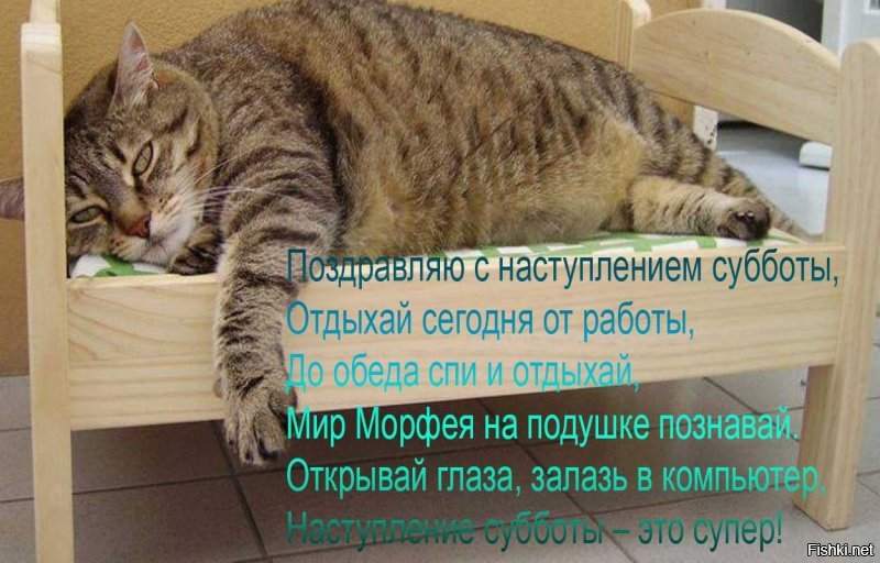 Греются, как могут... (Кошки, моё "слабое" место).