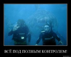 Дайверы в клетке едва не стали завтраком для гигантской белой акулы