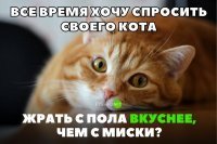 Ответный вопрос от кота: но тебе же проще есть с ложки, чем хлюпать прямо из тарелки?...