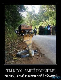 Двухголовая змея потрясла ученых